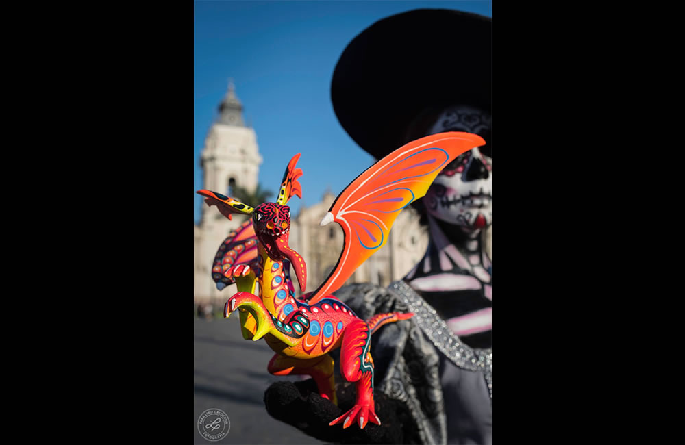Proyecto Intercultural Perú – México